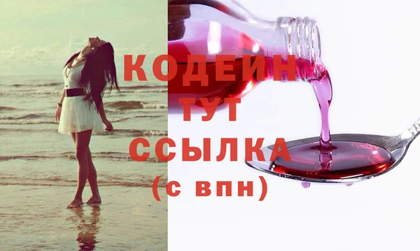 стаф Козельск