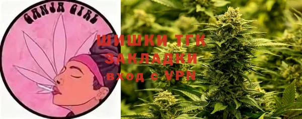 apvp Киреевск
