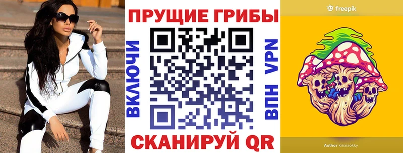 Псилоцибиновые грибы Psilocybe  Сосенский 